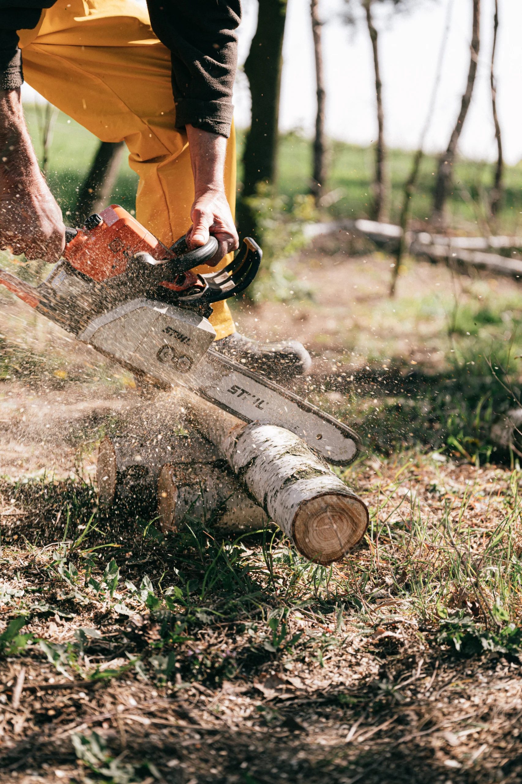Chainsaw cutting a log on the ground