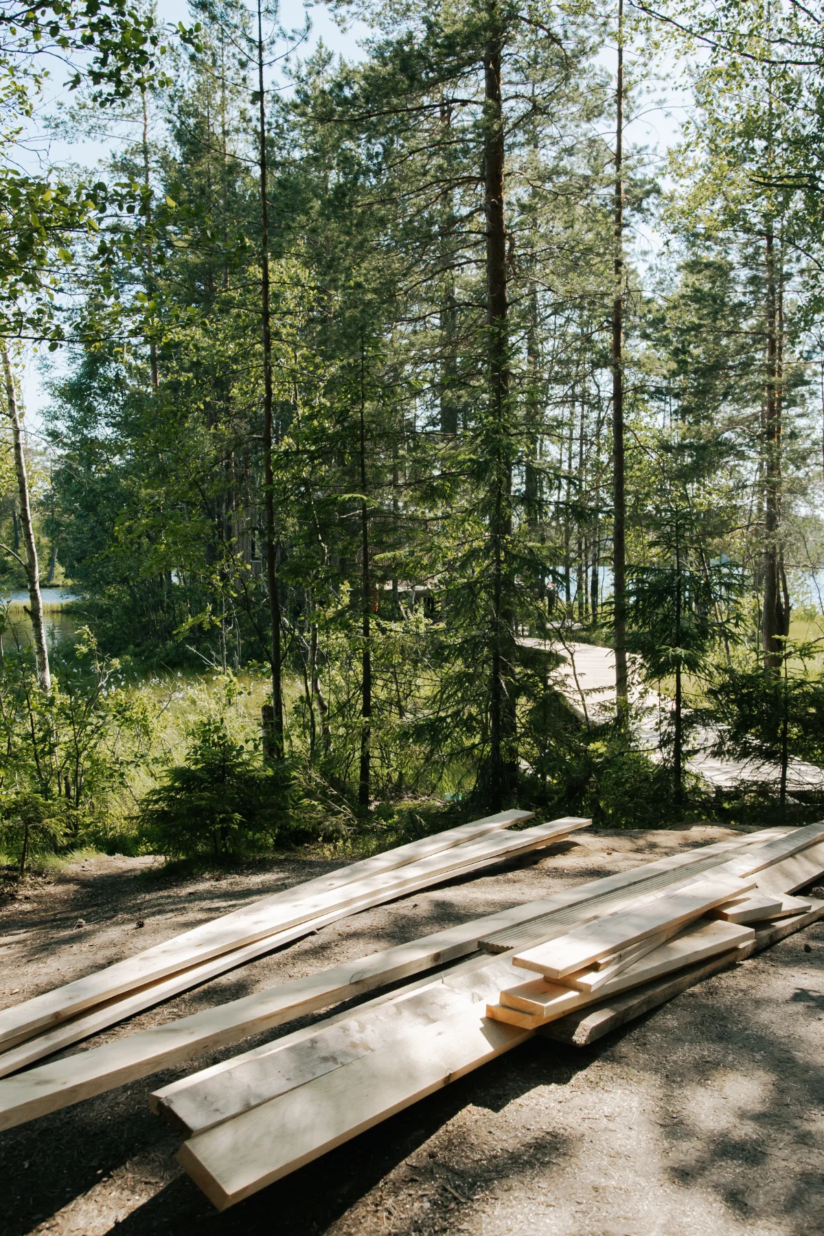 Wood boards stacked near a wooded property