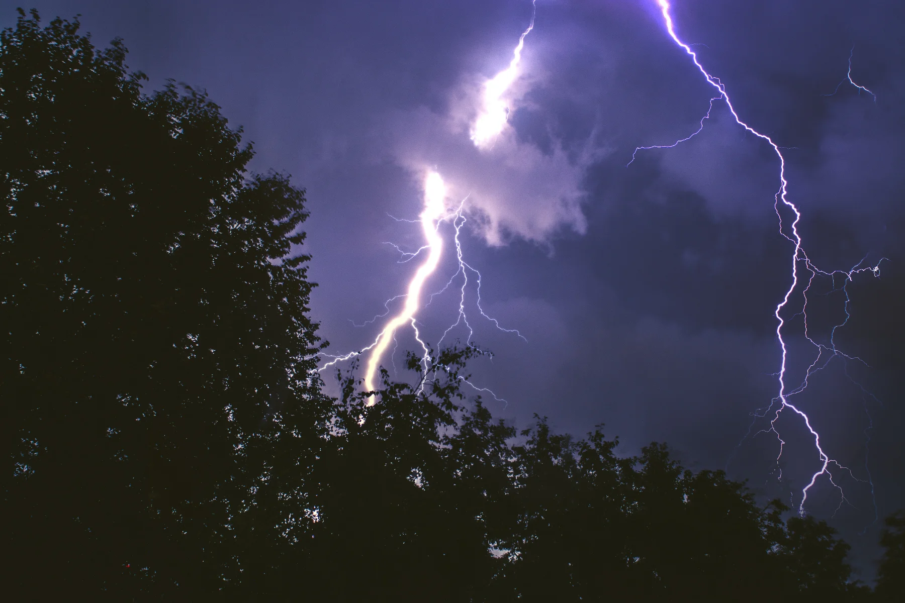 Lightning above silhouetted trees during a storm
